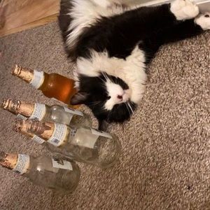 Meet your Posher, Rebeca